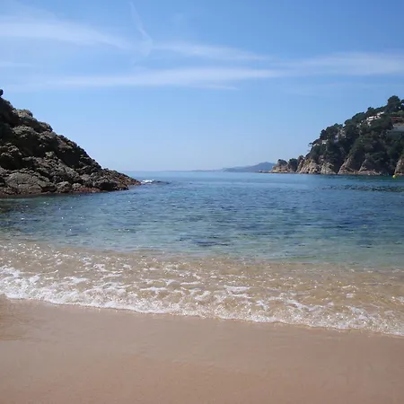 Wastl * リョレート・デ・マル